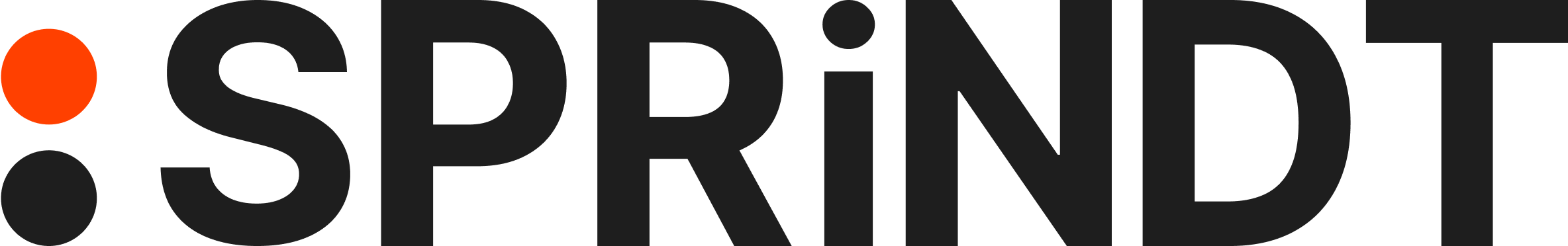 SPRiNDT Wortmarke schwarz – Webdesign, Social Media und visuelle Kommunikation Schwerin